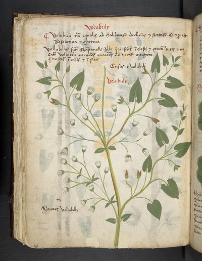 Tilføj MS 41623 f.75v 