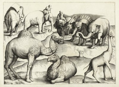Dyremalerier fra det antikke Rom, Tabel, 3., pub. Antonio Lafrere 1528 af Italian School