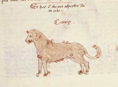 Hundens stjernebillede (Canis). Miniature fra "" Astronomica" af Biasino da Parma (Blaise de Parma) (1425-1457) af Italian School
