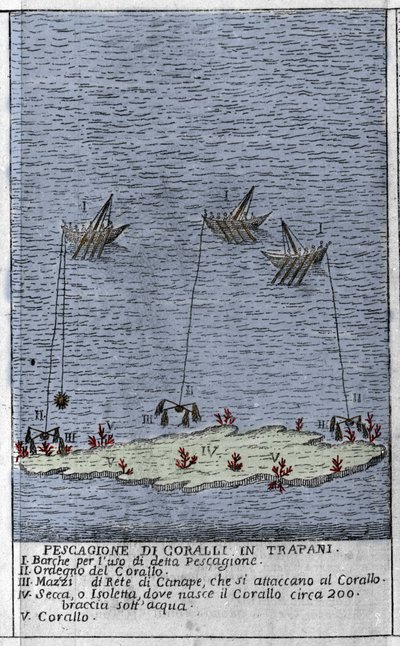 Koralfiskeri i Trapani-bugten på Sicilien, en repræsentation af små undersøiske øer, hvor der dannes koraltønder. Gravering fra "" Stato Presente della Sicilia"" af Arcangelo Leanti, Palermo 1761 af Italian School