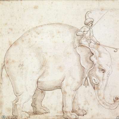 Elefanten Hanno og hans Mahout af Italian School