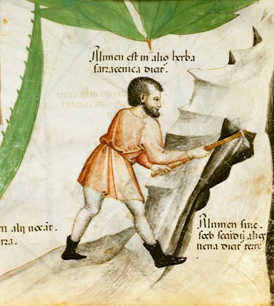 Udvinding af alun, ca. 1440 (farve litho) af Italian School