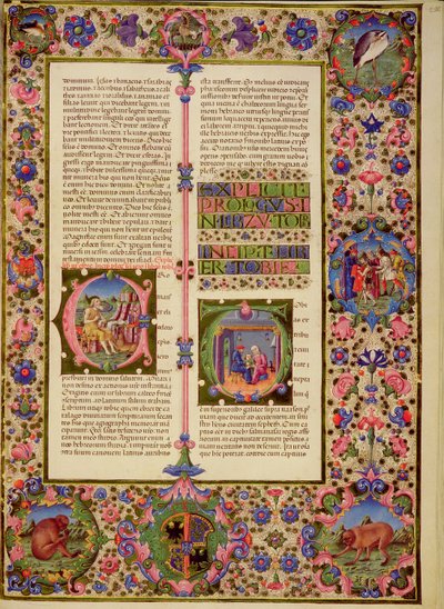 Fol.212r Book of Toby, fra Borso d