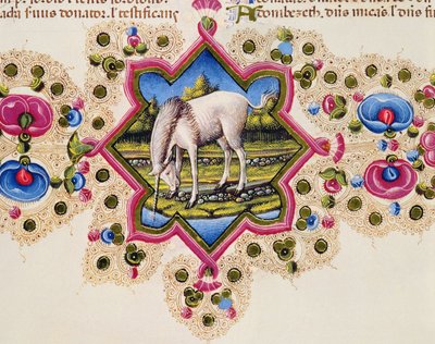 Fol.245V A Unicorn, fra Borso d