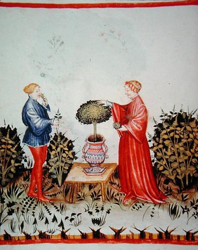 Fol.39v Samling af Basilicum Curatum, illustration fra 