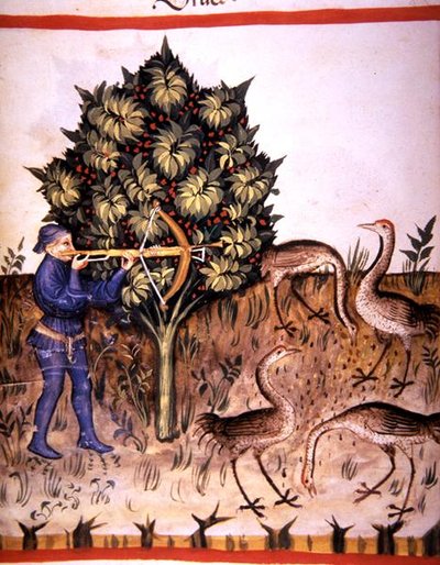 Fol.70v jagtkrane, illustration fra 