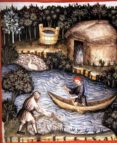 Fol.82r Frisk fisk, illustration fra 