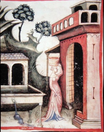 Fol.88v Kildevand, illustration fra 