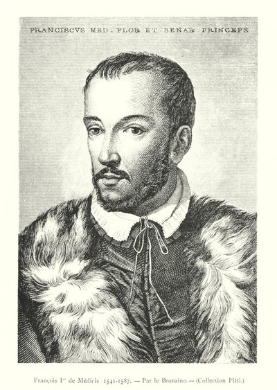 Francois II de Medicis af Italian School