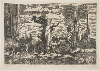 Gud skaber dyrene, ca. 1550 af Italian School