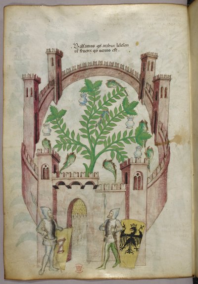 Illustration af balsamhaven i Cairo (Fustat) med syv vandbassiner og krukker til opsamling af balsam, en plante i midten, med to riddere i rustning, der flankerer porten, med skjolde med heraldiske våben, ca. 1440 (blæk og farve på pergament) af Italian School