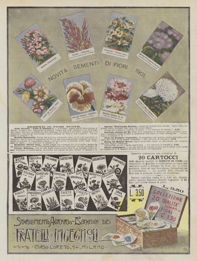 Ingegnoli Brothers (farvelitografi) af Italian School