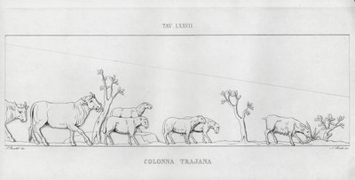 Trajans søjle, Trajans søjle (gravering) af Italian School