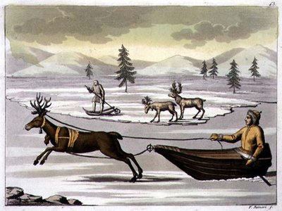 Han- og hunrensdyr og en Laplander på sin slæde trukket af et rensdyr, plade 43 fra 