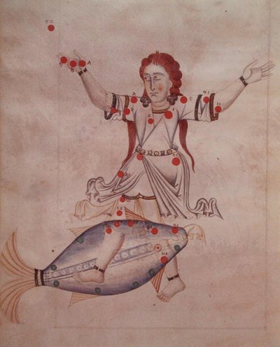 Ms.1036 Fiskenes stjernebillede, fra 