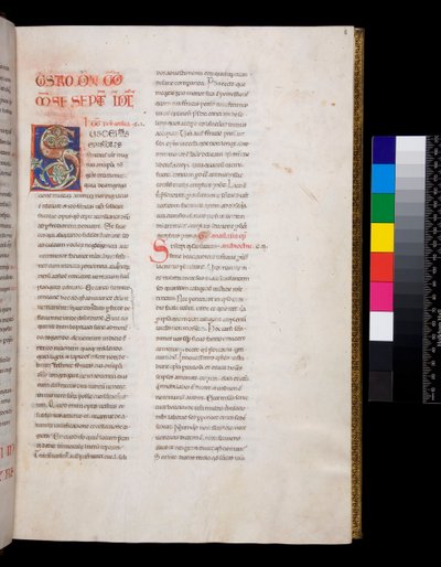 Fru 143. Gregor den Store, Registrum Epistolarum, f.8r. Dekoreret initial [S] med hvidt vinbladsfyld og endestykker af Italian School