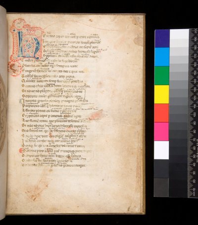 Ms 315. Horace, Ars Poetica og Epistulae, f.1r. Dekoreret initial [N] i blå og rød blefyldning og omgivende penneværk i rødt af Italian School