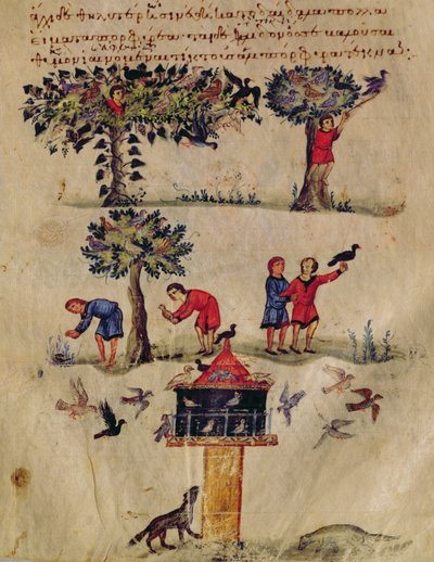 Ms Grec 479 Hunting for Birds, illustration sandsynligvis fra Ixeutika af Oppian (tempera på vellum) af Italian School