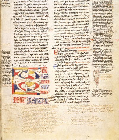 Ms. McClean 135, f.96r: detalje af en planteform, historisk initial C fra Gratians Decretum, slutningen af det 12. århundrede af Italian School