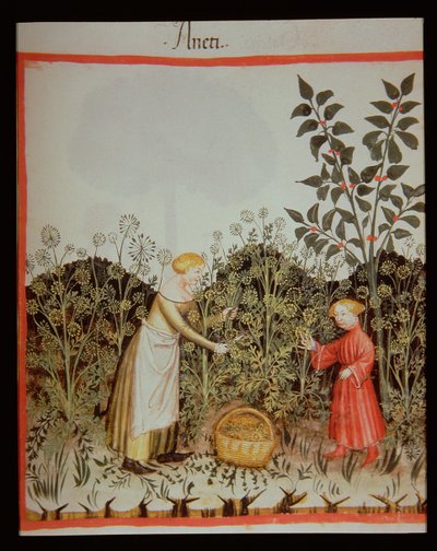 Nova 2644 f.32r Samler Dild af Italian School