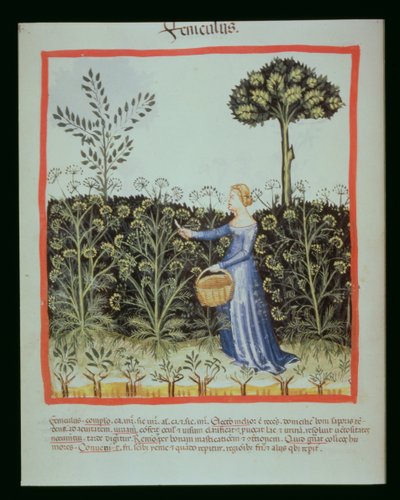 Nova 2644 f.41v Høst kommen af Italian School