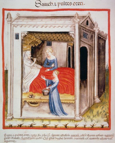 Nova 2644 fol.44v Smagsbygsuppe, fra Tacuinum Sanitatis af Italian School