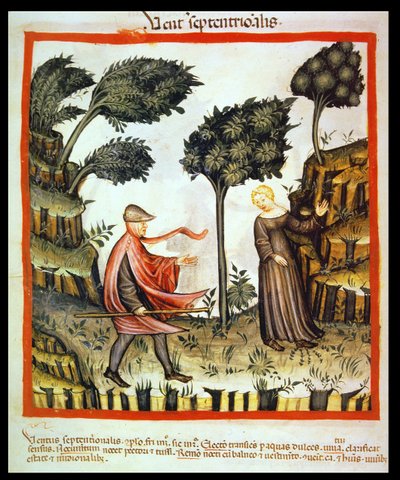 Nova 2644 fol.58v Nordenvinden, fra Tacuinum Sanitatis af Italian School
