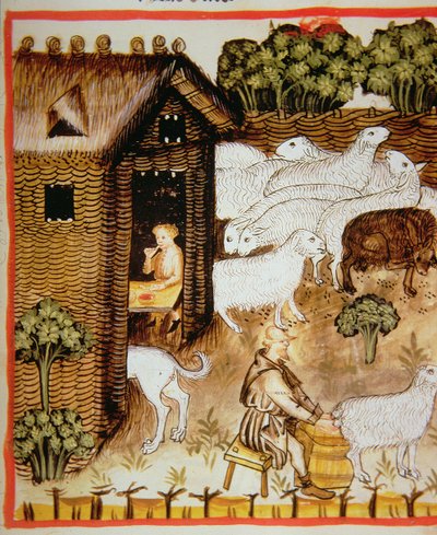 Nova 2644 fol.59r Fårehold: sød mælk, fra Tacuinum Sanitatis af Italian School