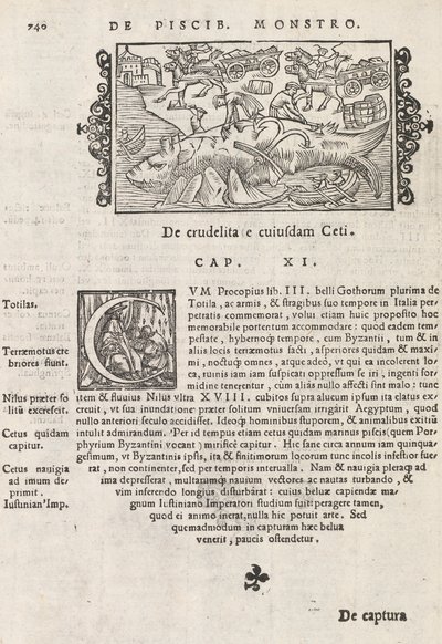 Side 740 fra Nordens historie af Magnus Olaus, Rom 1565 (tryk & gravering) af Italian School