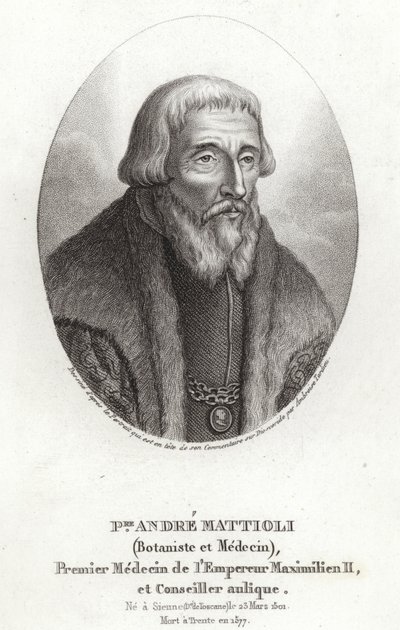 Pietro Andrea Mattioli af Italian School