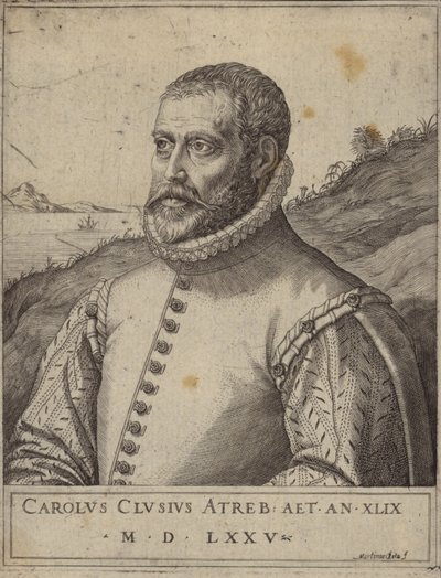 Portræt af Carolus Clusius af Italian School