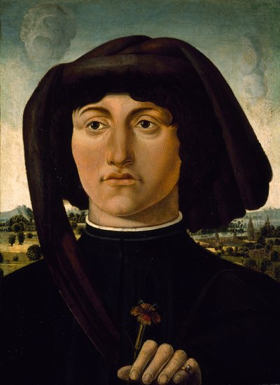Portræt af en ung mand med en lyserød blomst, ca. 1475-85 (tempera på træ) af Italian School