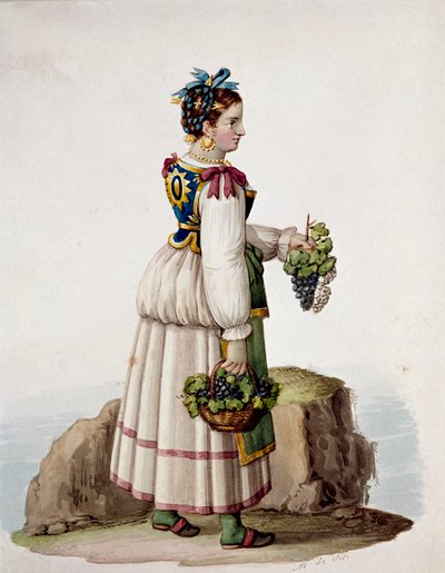 Portræt af ung kvinde fra Capri, i traditionel dragt, med druer - (gammel handel: ung kvinde fra Capri, med druer) Akvarel Museo Nazionale di San Martino Napoli fra det 19. århundrede af Italian School