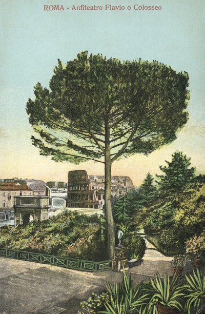 Rom, Italien, Amfiteater og Colosseum (farvelitografi) af Italian School