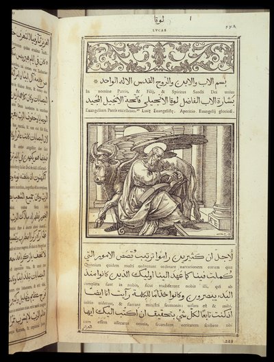 Evangelisten Saint Luke, Bibel skrevet på arabisk, Rom af Italian School