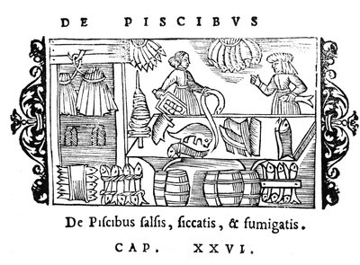 Saltning, tørring og røgning af fisk, illustration fra Historia de Gentibus Septentrionalibus af Olaus Magnus (1490-1558), udgivet i Rom, 1555 af Italian School