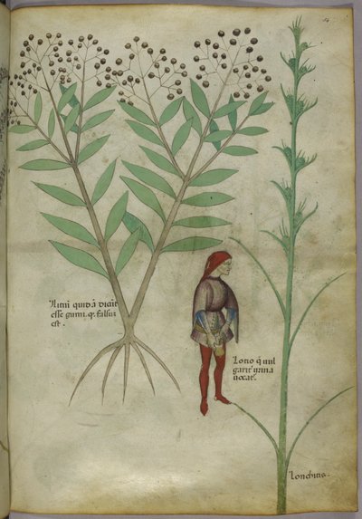 Sloane 4016 f.54 Mand tisser i en gryde, fra 
