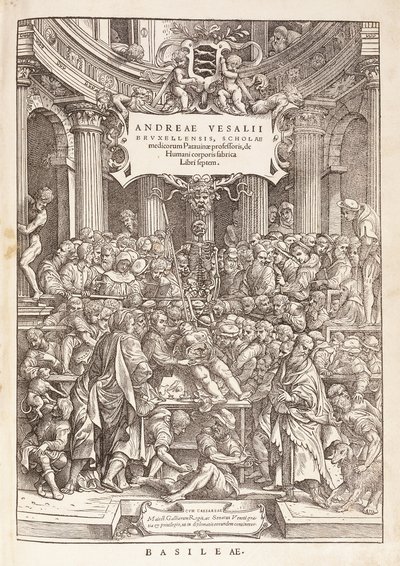 Forfatteren udfører en anatomisk dissektion i et kirurgisk teater, 1543 af Italian School