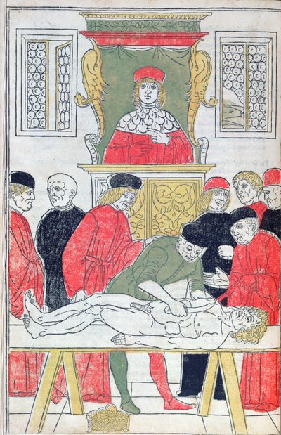 Dissektionen, illustration fra 