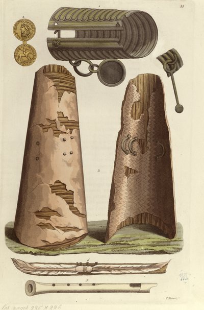 Forskellige vikingegenstande: bronzearmbånd, gylden medalje med runealfabet, skjolde, fløjter. Illustration af V. Raineri fra 
