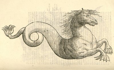 illustration af Equus marinus monstrosus fra Aldrovandis History of Monsters, 1642 af Italian School