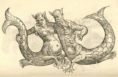 illustration af Monstra Niliaca Parei fra Aldrovandis History of Monsters, 1642 af Italian School