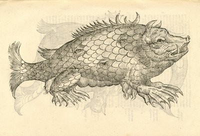 illustration af Monstrosus Sur marinus fra Aldrovandis History of Monsters, 1642 af Italian School
