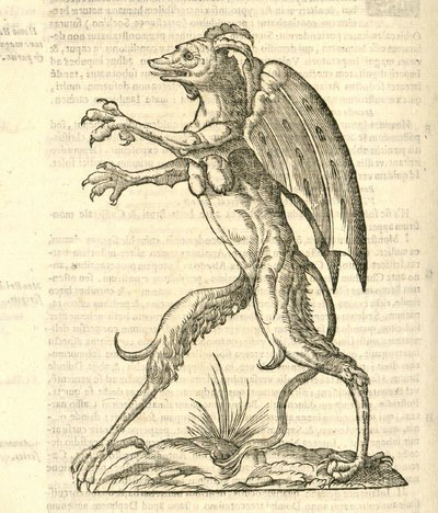 illustration af et bevinget og hornet monster som en dæmon fra Aldrovandis History of Monsters, 1642 af Italian School