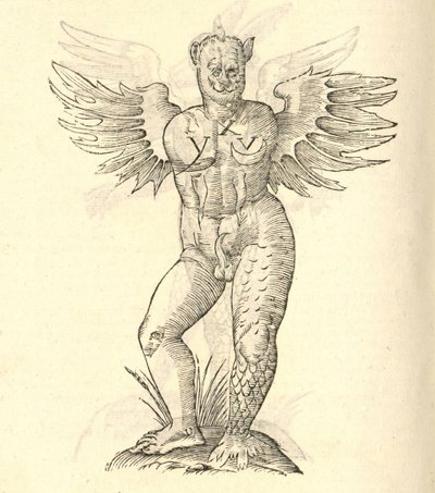 illustration af et bevinget monster fra Aldrovandis History of Monsters, 1642 af Italian School