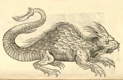 illustration af Orobonis Piscis-billeder fra Aldrovandis History of Monsters, 1642 af Italian School