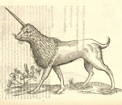 illustration af en Camphurch fra Aldrovandis History of Monsters, 1642 af Italian School