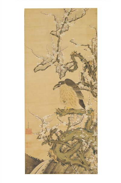 Umetaka-zu (Høg på en blomstrende blommegren) af Ito Jakuchu