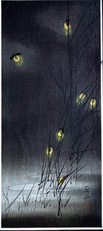 Ildfluer i sommernatten. 1930-1950 (Xylografi og japansk tryk) af Ito Sozan