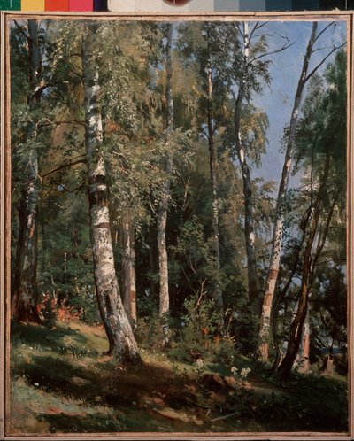 Birch grove (Birch grove) - Maleri af Ivan Ivanovich Shishkin (Shishkin) (1832-1898), olie på lærred af Ivan Ivanovich Shishkin
